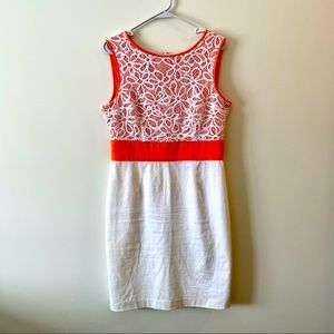 Lace Detail Knee Length Dress